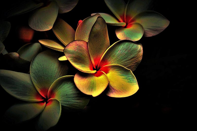 Inner Peace and Clarity